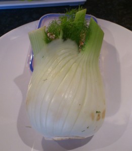 The fennel bulb